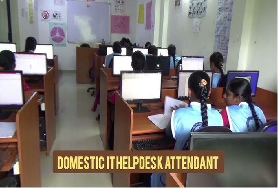 Certificate in Domestic IT helpdesk Attendant